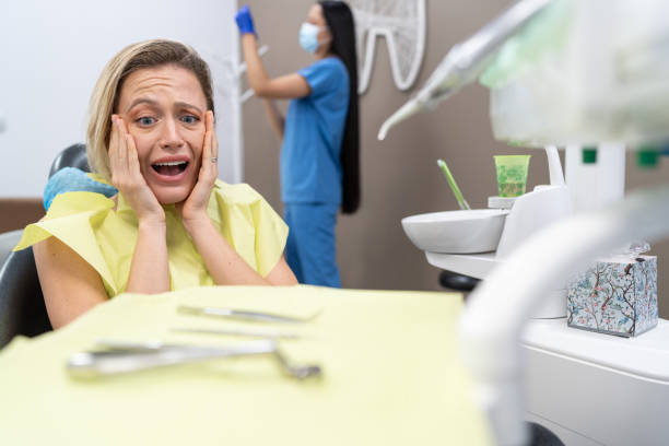 Best Walk-In Emergency Dental Services in Larch Y, WA
